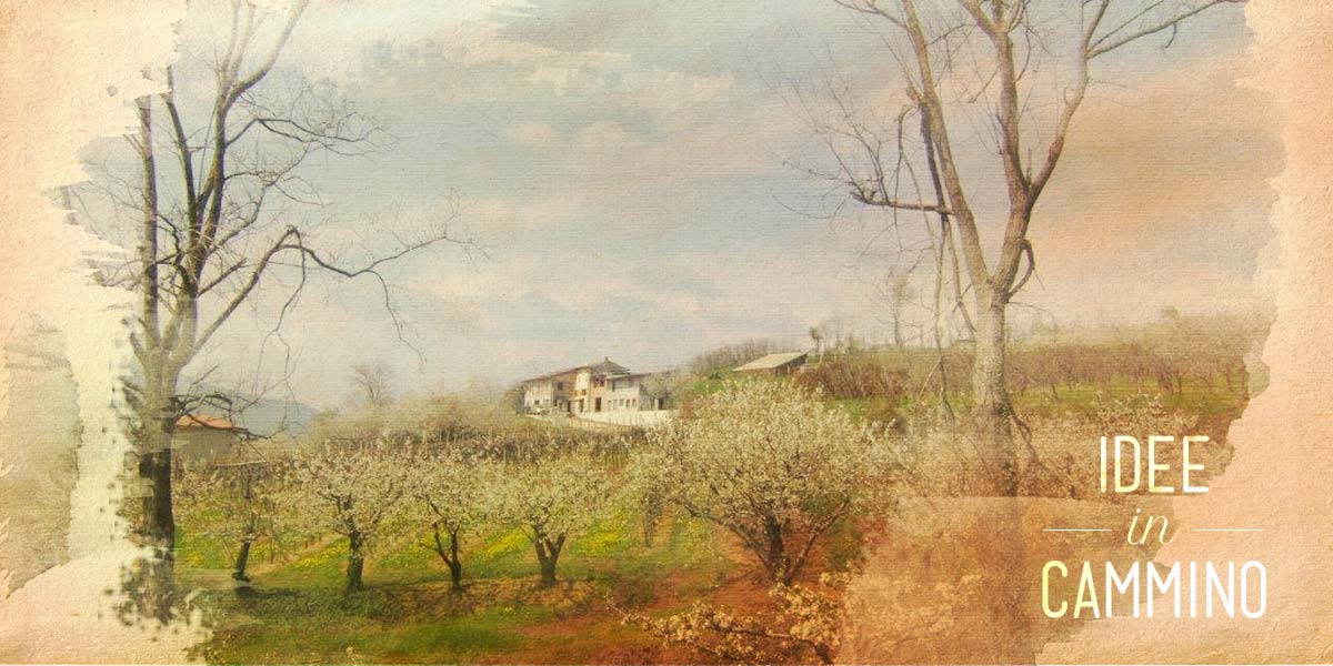 Azienda Agricola Posenato Marco