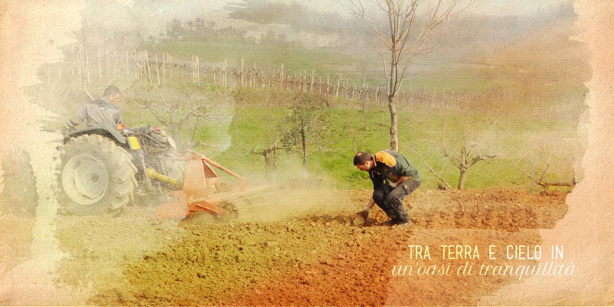 Azienda Agricola Posenato Marco